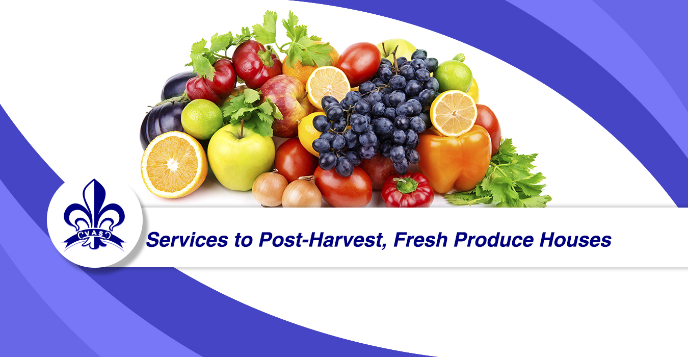 services to plastic food packaging plants